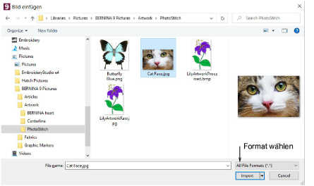 ImportGraphics.png