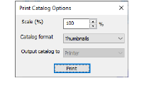 PrintCatalogOptions.png