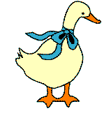 DuckImage00049.png