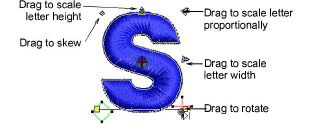 TransformIndividualLettering2.png