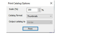 PrintCatalogOptions.png