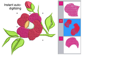 AutoDigitizeInstantSample.png